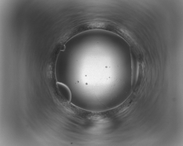 X0000071950551200607071213