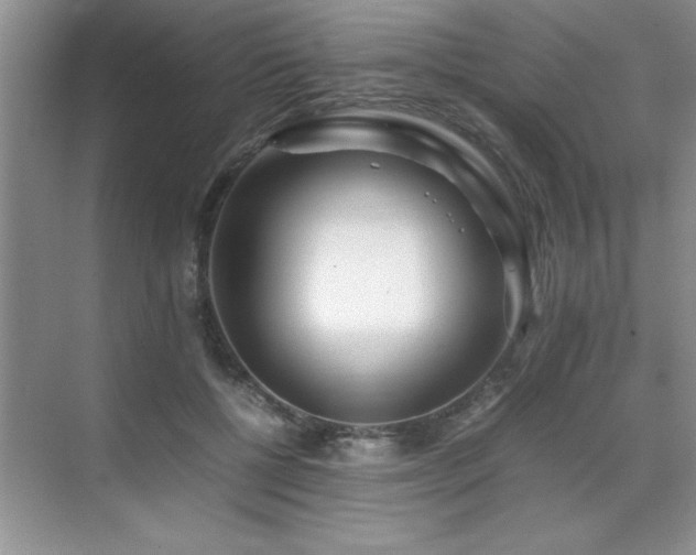 X0000071950552200607071213