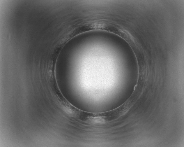 X0000071950553200607071213