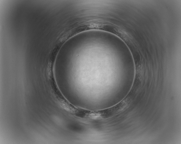 X0000071950554200607071213