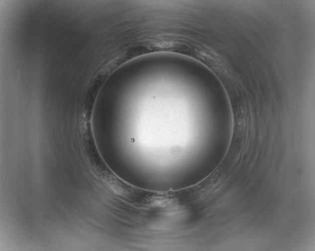 X0000071950555200607071213