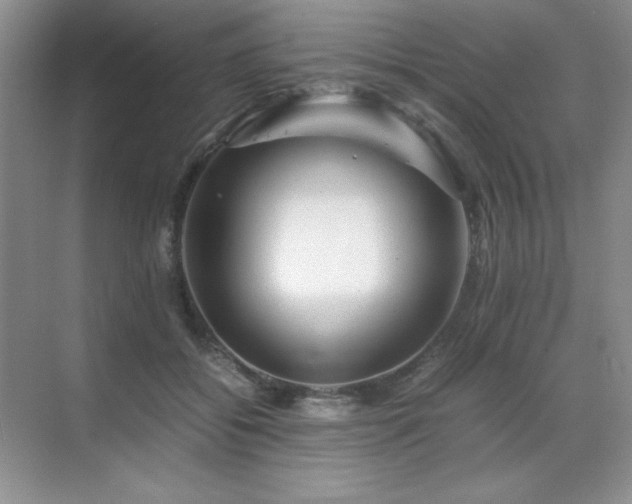 X0000071950556200607071213