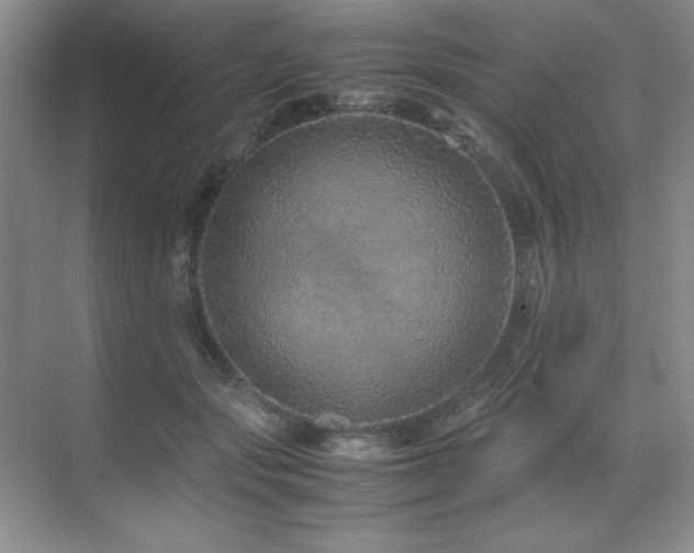 X0000071950557200607071213