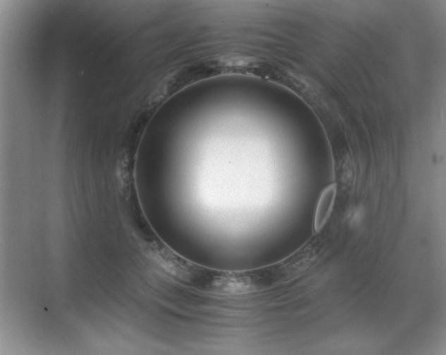 X0000071950559200607071213