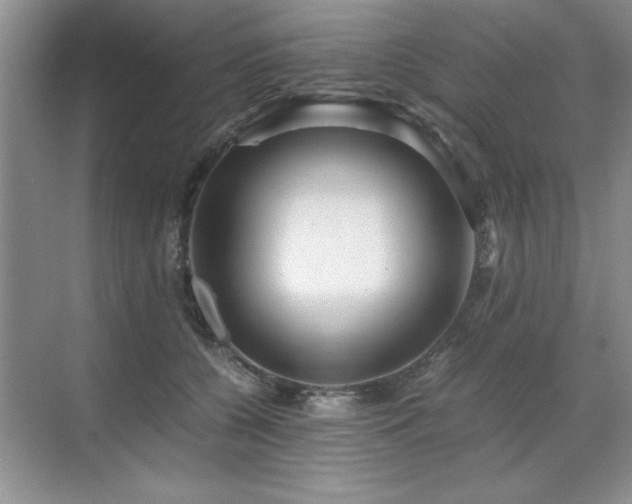 X0000071950560200607071213