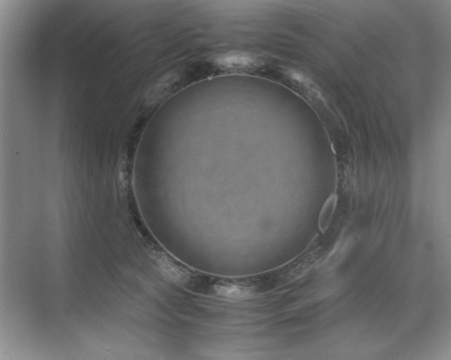 X0000071950561200607071213