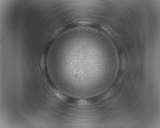 X0000071950562200607071213