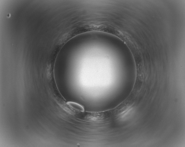 X0000071950563200607071213