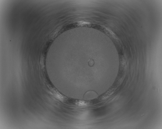 X0000071950565200607071213