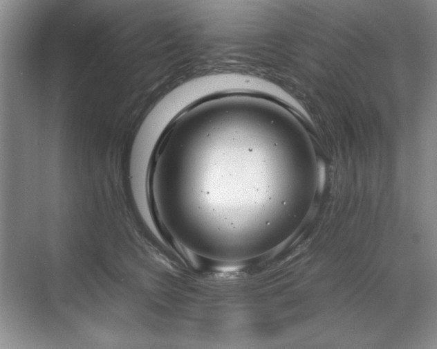 X0000071950566200607071213