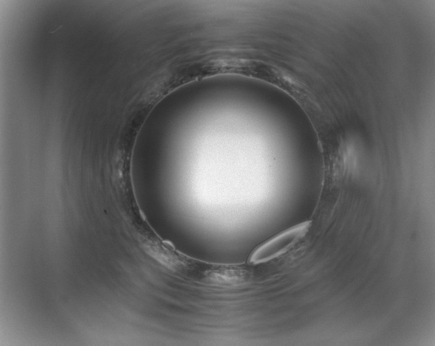 X0000071950567200607071213