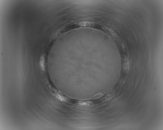 X0000071950569200607071213