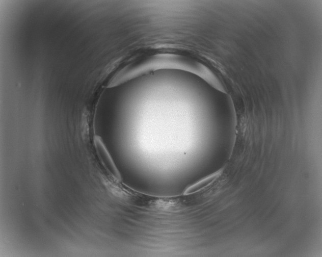 X0000071950570200607071213