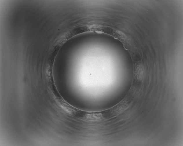 X0000071950571200607071213