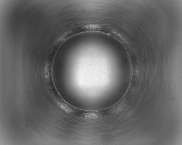 X0000071950572200607071213