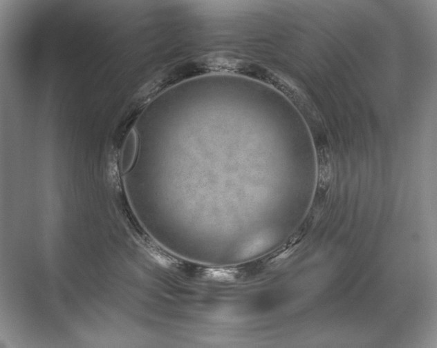 X0000071950573200607071213