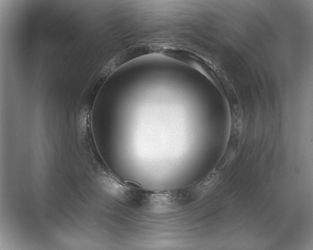 X0000071950574200607071213