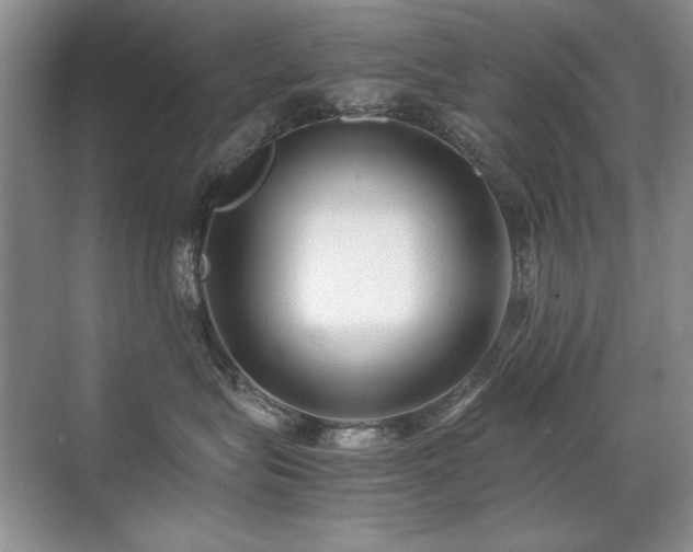 X0000071950575200607071213