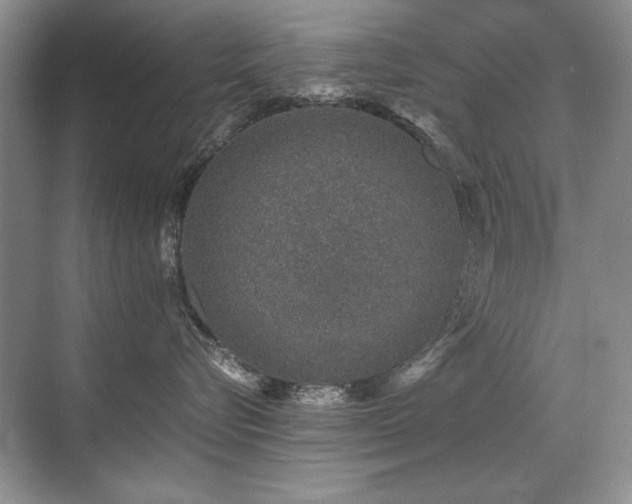 X0000071950576200607071213