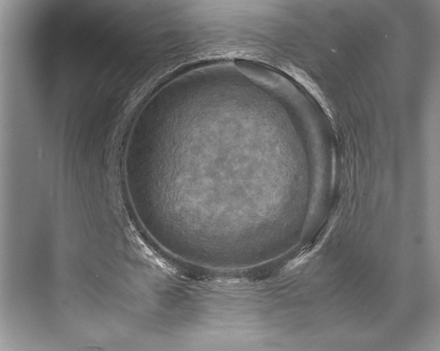 X0000071950577200607071212