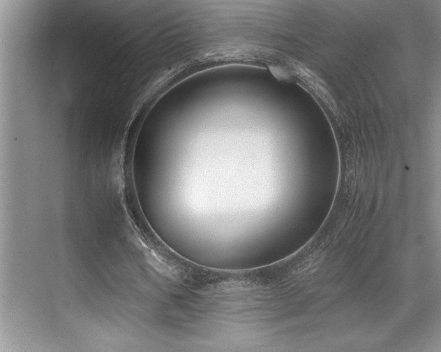 X0000071950578200607071212