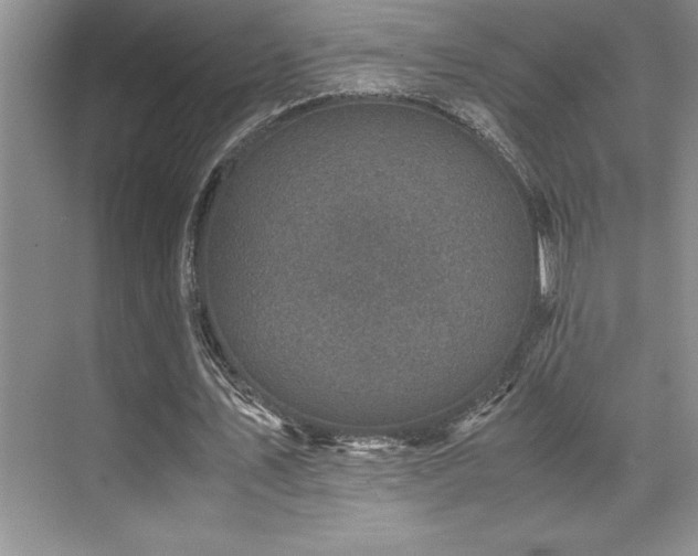 X0000071950579200607071212