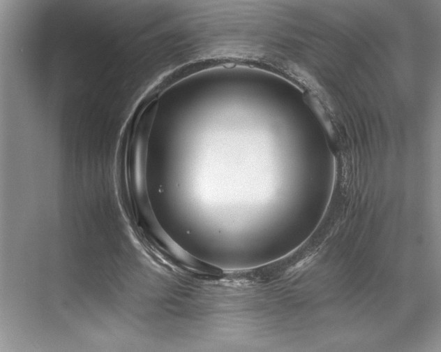 X0000071950580200607071212