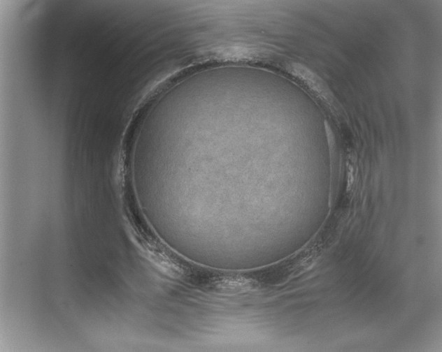 X0000071950583200607071212