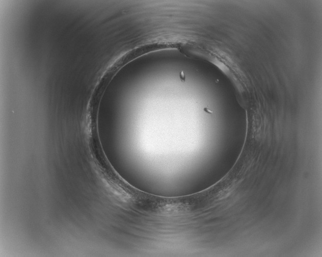 X0000071950584200607071212