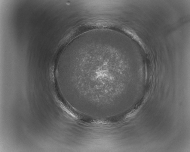 X0000071950585200607071212