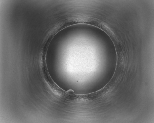 X0000071950586200607071212