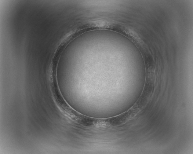 X0000071950587200607071212