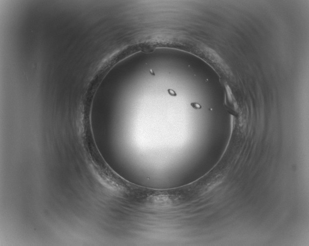 X0000071950588200607071212