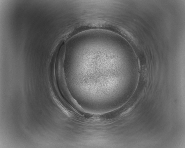 X0000071950589200607071212