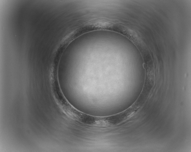 X0000071950591200607071212