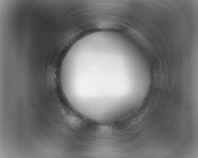 X0000071950592200607071212