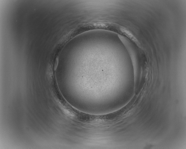 X0000071950593200607071212