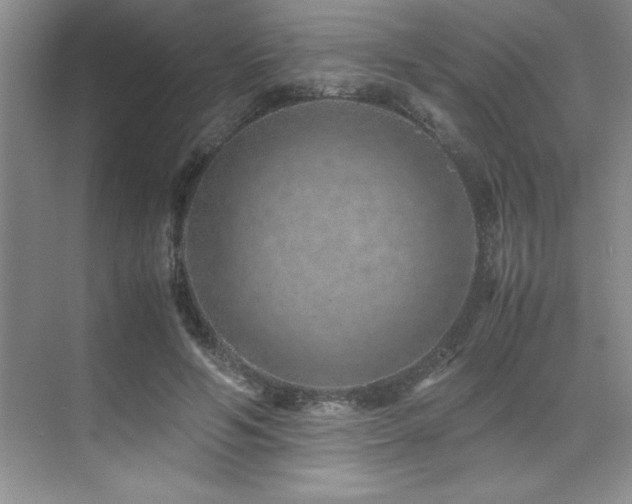 X0000071950594200607071212