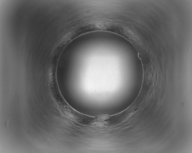 X0000071950595200607071212