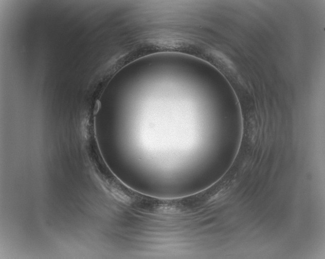 X0000071950596200607071212