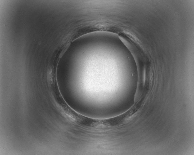 X0000071950597200607071212