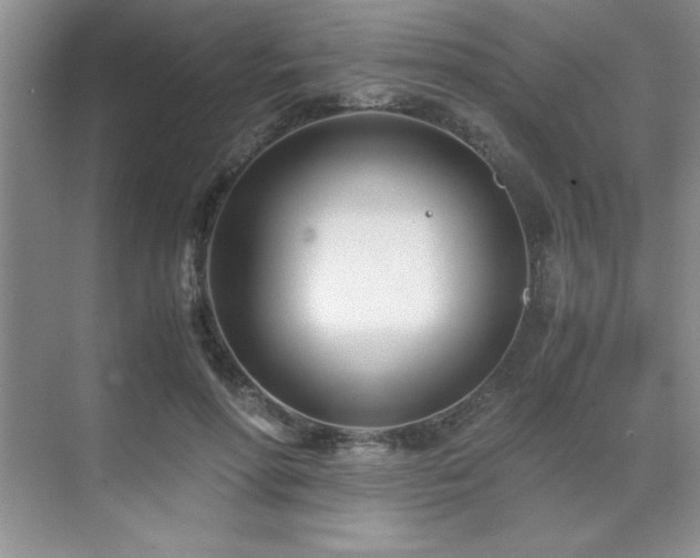 X0000071950598200607071212