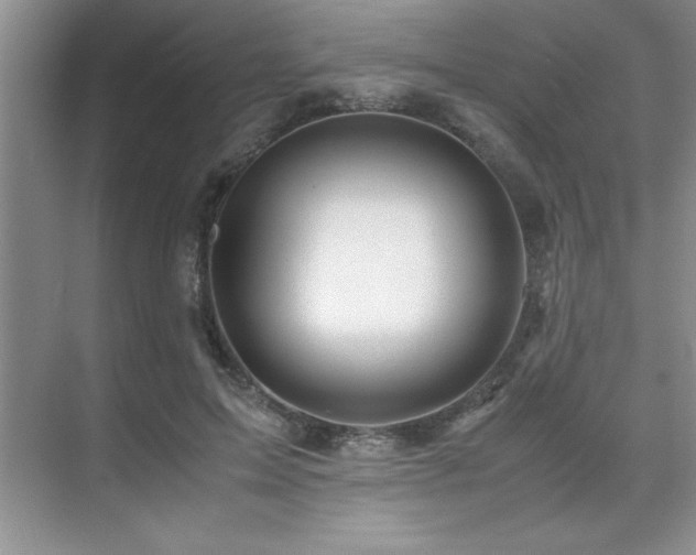 X0000071950599200607071212