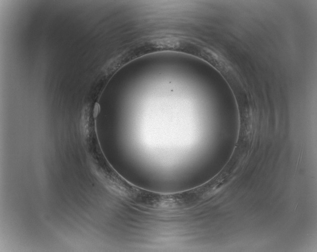 X0000071950600200607071212