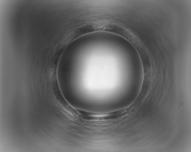 X0000071950601200607071212