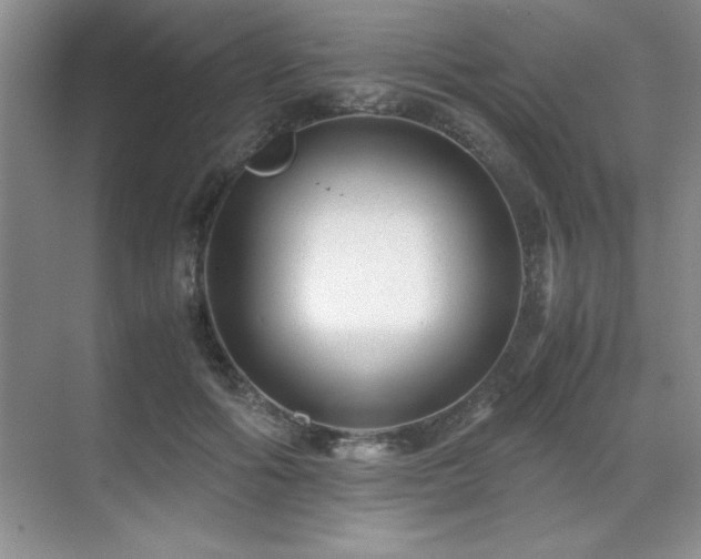 X0000071950602200607071212