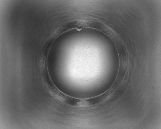 X0000071950603200607071212