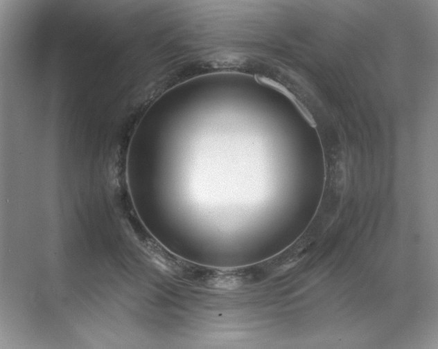 X0000071950604200607071212