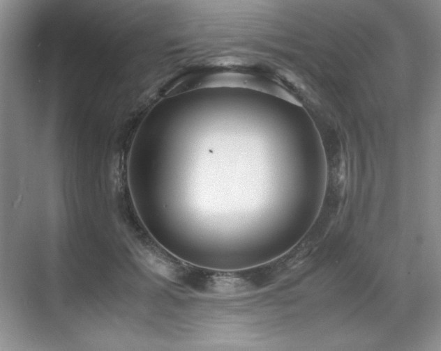 X0000071950605200607071212