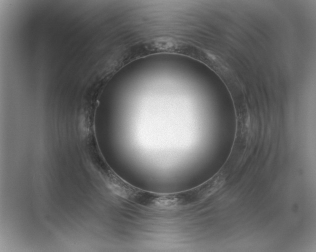 X0000071950606200607071212